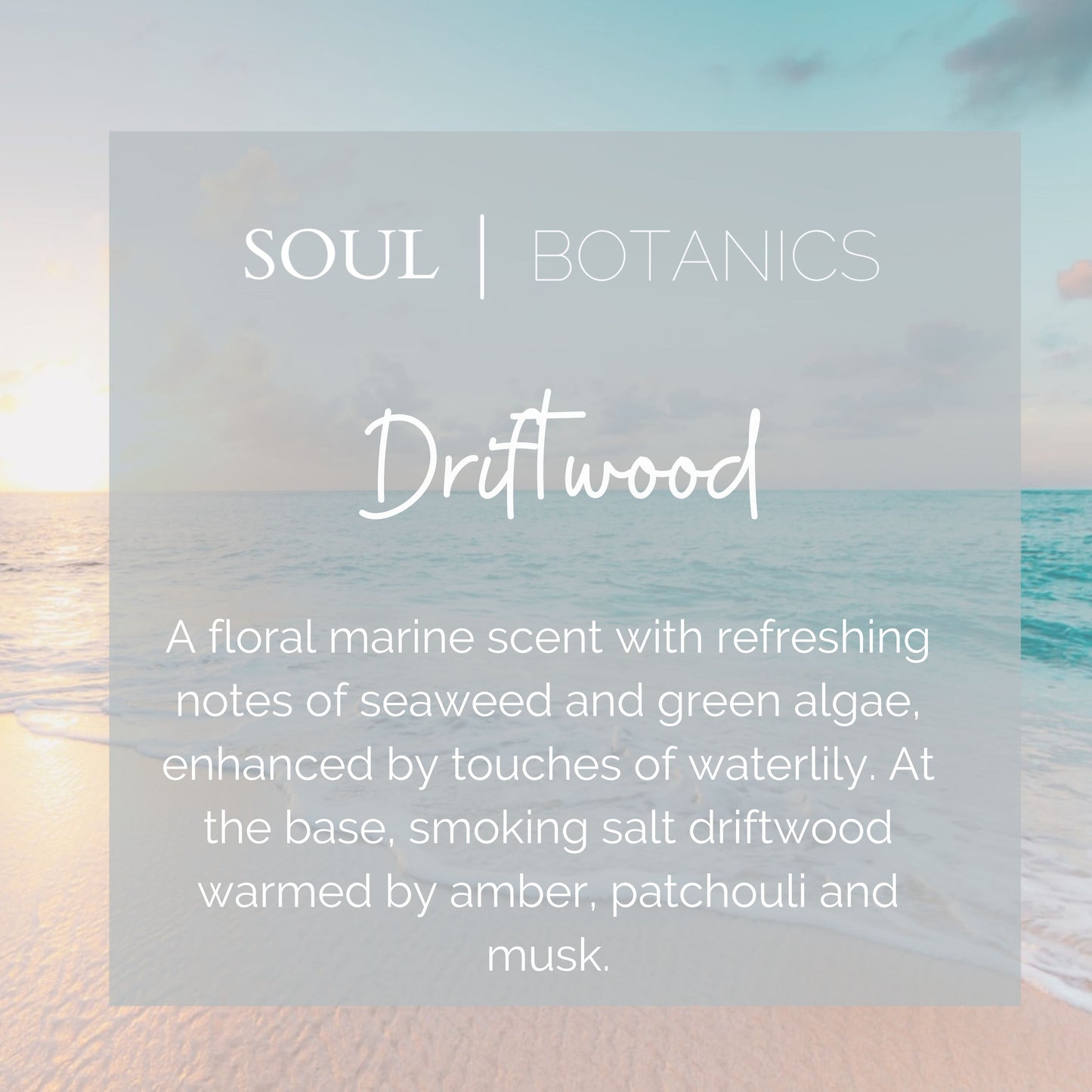 Driftwood